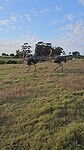 20240507_080257