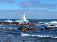 IMG-20240509-WA0003
