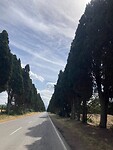 De weg naar Bolgheri