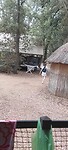 Voor de laatste keer boodschappen doen