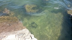 Het heldere water van de haven