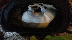 buikje vol en in de doggy bag