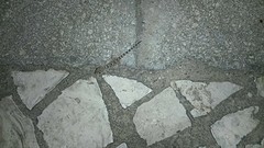 gecko 3