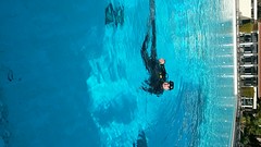 hardwerkende Berrie in het zwembad in Alvor voor zijn open water