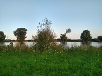 IMG_20220718_205936098_HDR