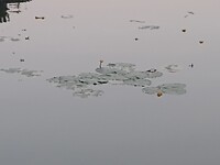 IMG_20220718_213946544