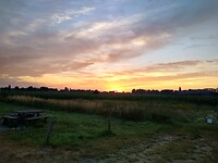 IMG_20220725_055726594_HDR