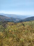 IMG_20220808_135554513_HDR