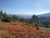 IMG_20220812_193303501_HDR