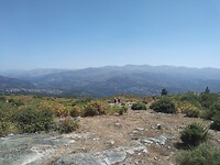 IMG_20220812_183146_412