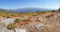 IMG_20220812_183133_589
