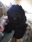 IMG_20230507_170615265