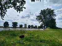 IMG_20230620_151108328_HDR