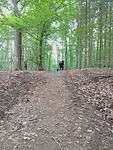 IMG_20230703_085555985_MFNR