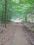 IMG_20230703_085420415_MFNR