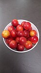 IMG-20230705-WA0000