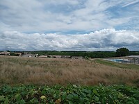 IMG_20230705_145217767_MFNR