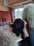 IMG_20230705_125152332_HDR