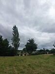 IMG-20230705-WA0033