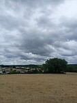 IMG-20230705-WA0032