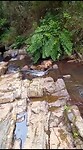 VID-20230709-WA0045