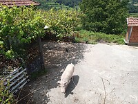 IMG_20230716_140627425_MFNR
