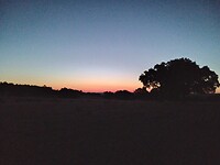 Zonsopgang