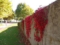 De muur bij de camperplaats