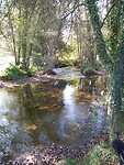 IMG_20231004_114207953_MFNR