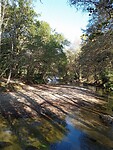 IMG_20231010_112319907_MFNR