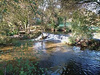IMG_20231010_112151309_MFNR