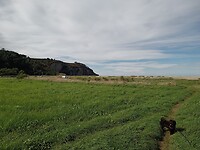 Het heerlijke open grasveld