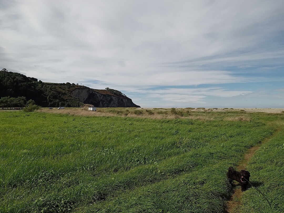 Het heerlijke open grasveld