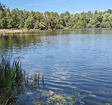 le lac du moulin blanc