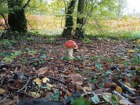 Onderweg bij de picknick plaats