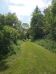 IMG_20240606_133719044_MFNR