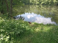 IMG_20240606_133623869_MFNR