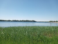 IMG_20250511_130149648_MFNR