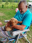 De laatste pup