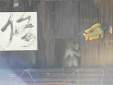 DSC01873