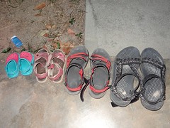 DSC04800