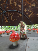 DSC04560