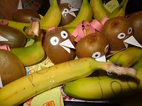 DSC02990
