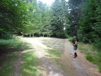DSC03090