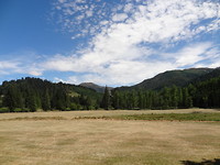 DSC03115