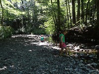 DSC03125