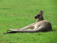 IMG_4760