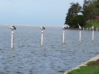 IMG_4779