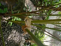 IMG_20221221_110556369_HDR