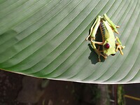 IMG_20221221_110827296